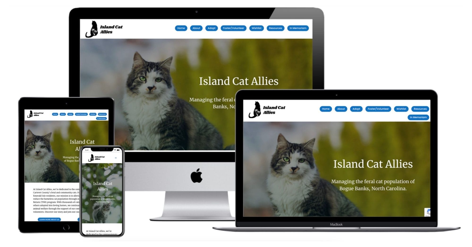 Island Cat Allies